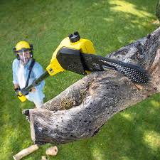 Best Lawn Pest Prevention  in Colonial Rk, PA